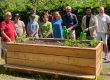 Neue Hochbeete f�r Bruck: Essbare Stadt w�chst 